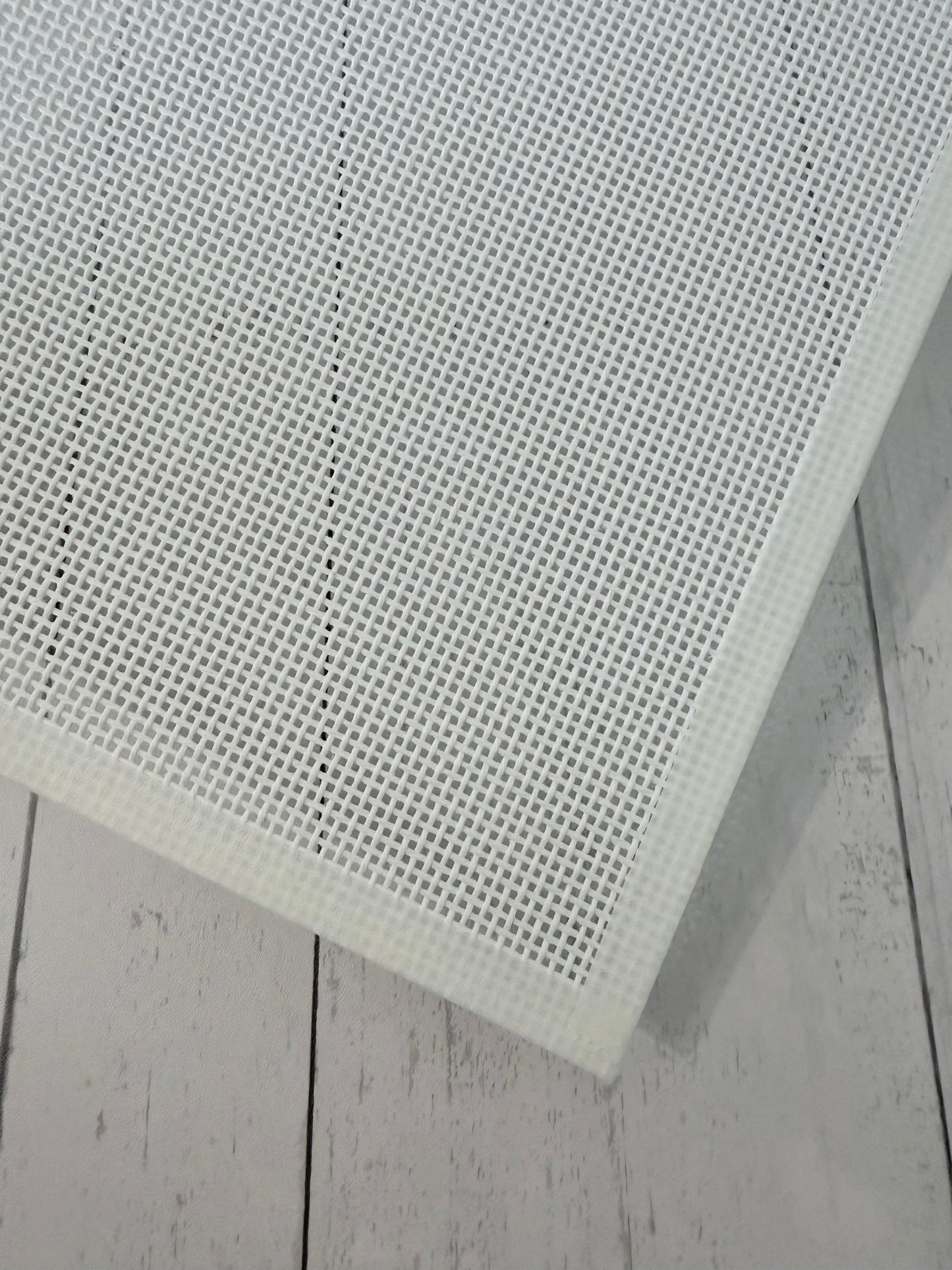 13 Mesh Needlepoint Canvas (blank)